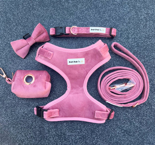 "Pretty in pink" Harness Set